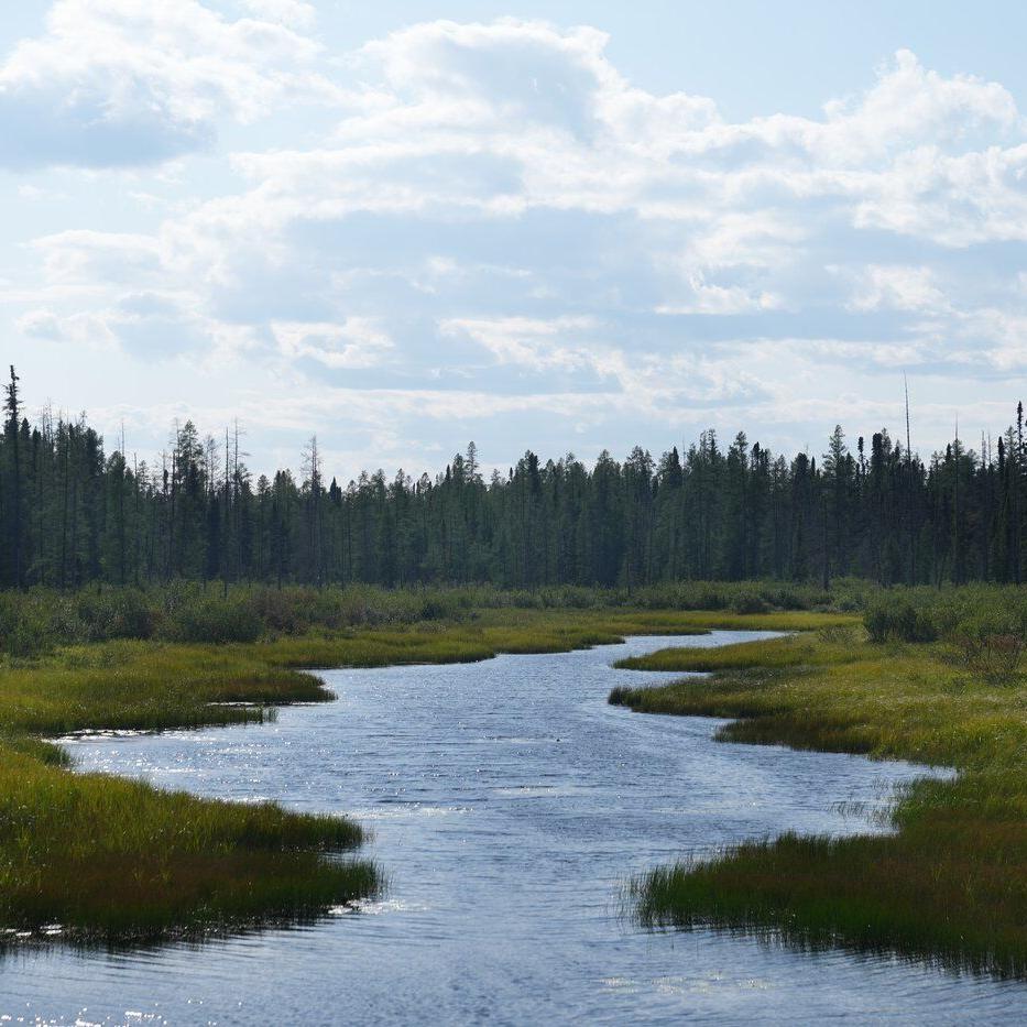 Canada has the critical minerals Donald Trump wants. So what should we do with them?